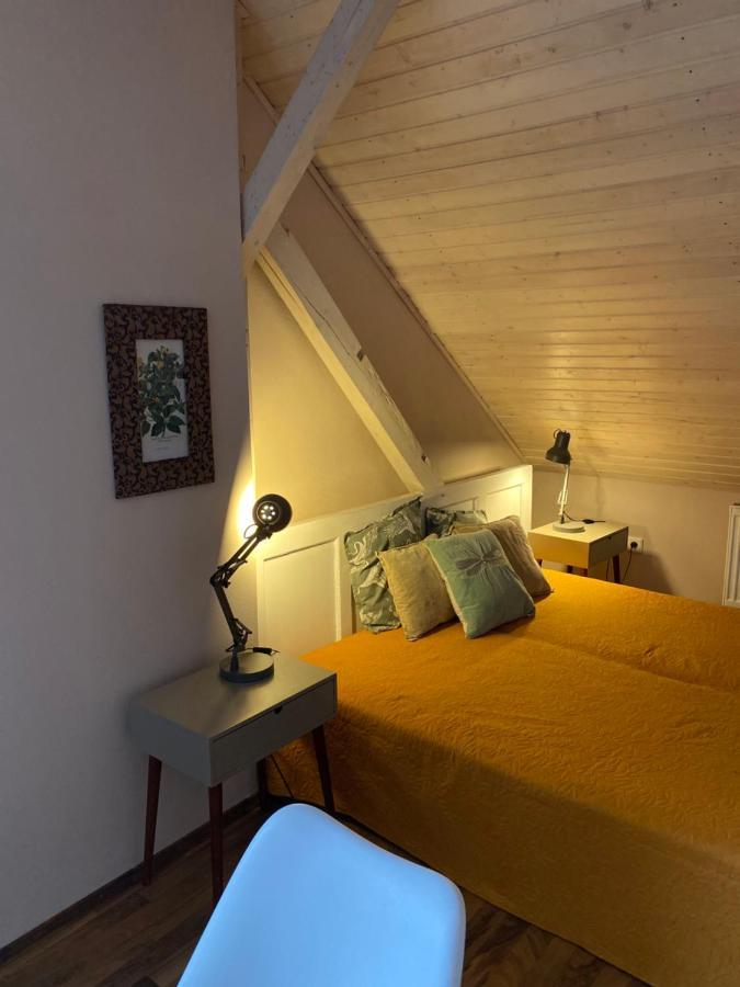 Apartmany Rudik Zelezna Ruda Luaran gambar