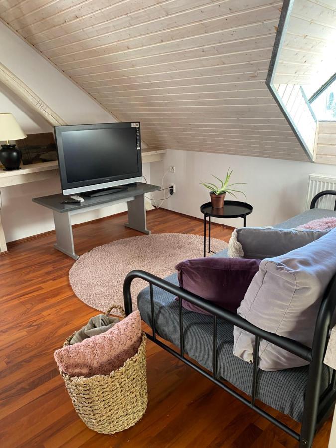 Apartmany Rudik Zelezna Ruda Luaran gambar