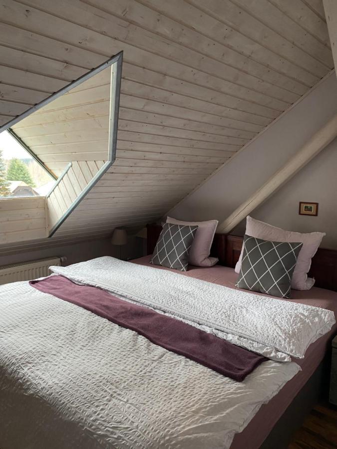 Apartmany Rudik Zelezna Ruda Luaran gambar