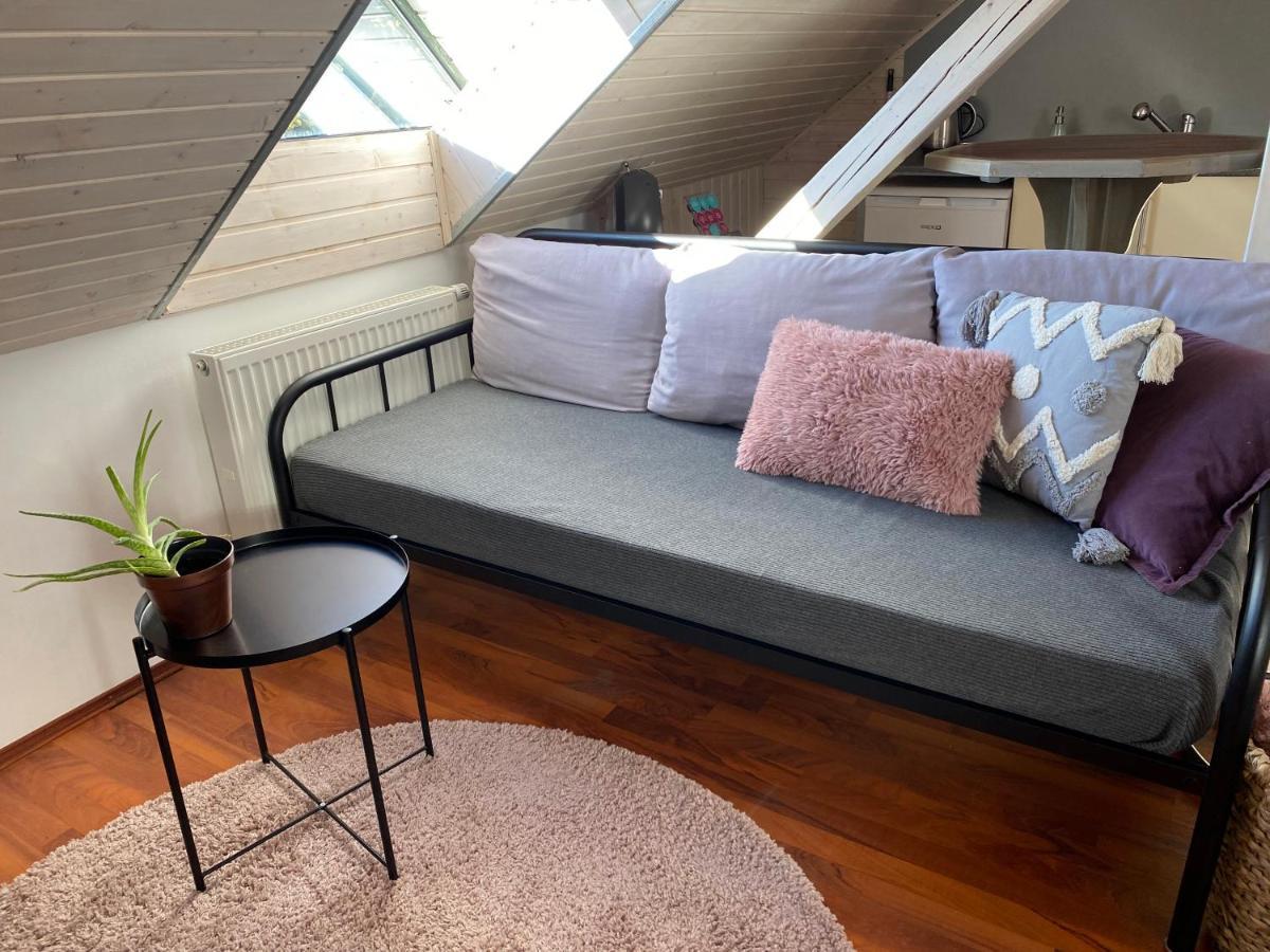 Apartmany Rudik Zelezna Ruda Luaran gambar